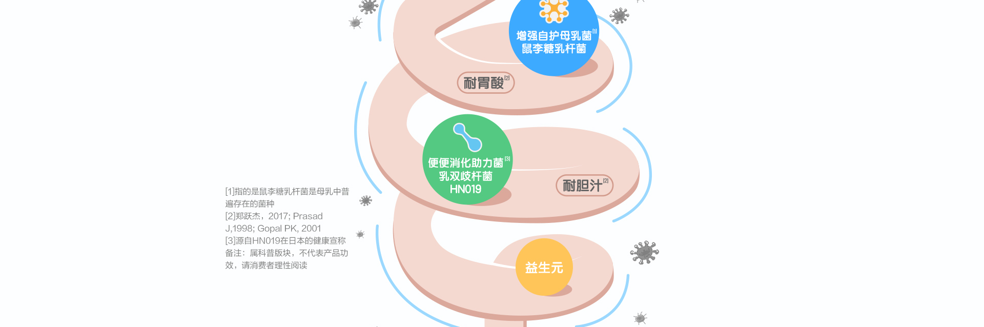 益生菌-益生菌咀嚼片