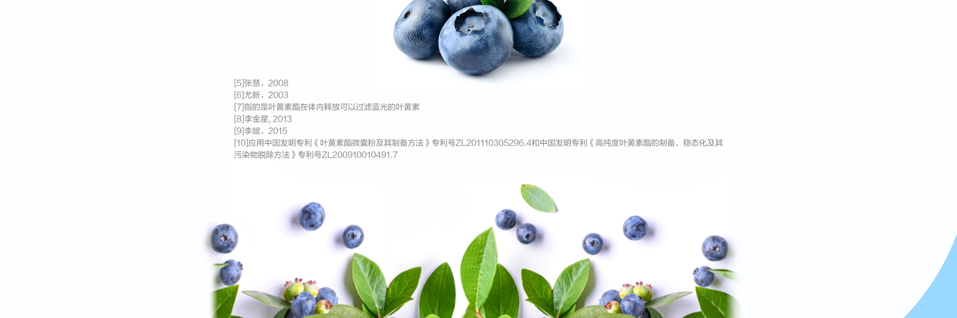 益生菌-益生菌咀嚼片