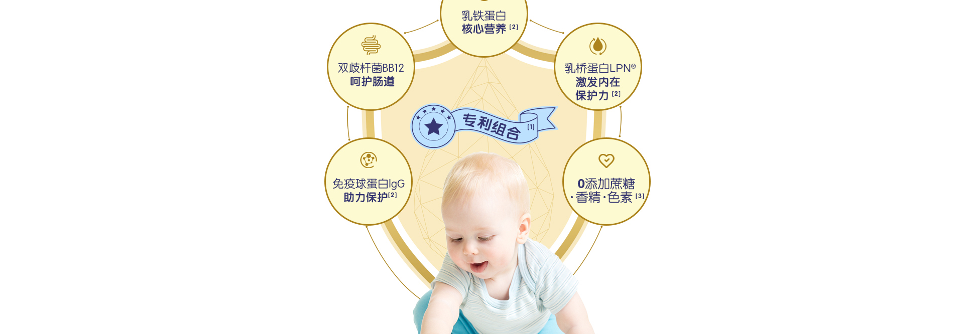 益生菌-乳铁蛋白粉
