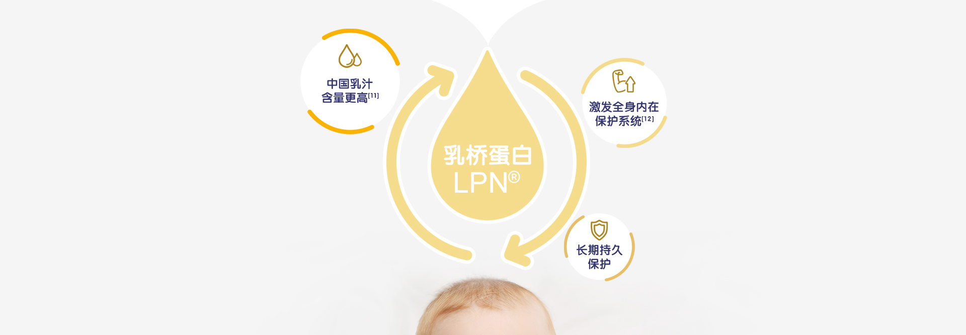 益生菌-乳铁蛋白粉